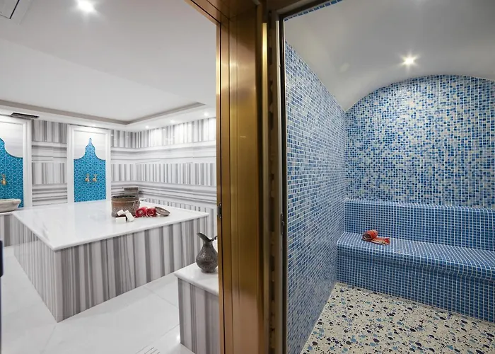 호텔 Great Fortune Design & 이스탄불